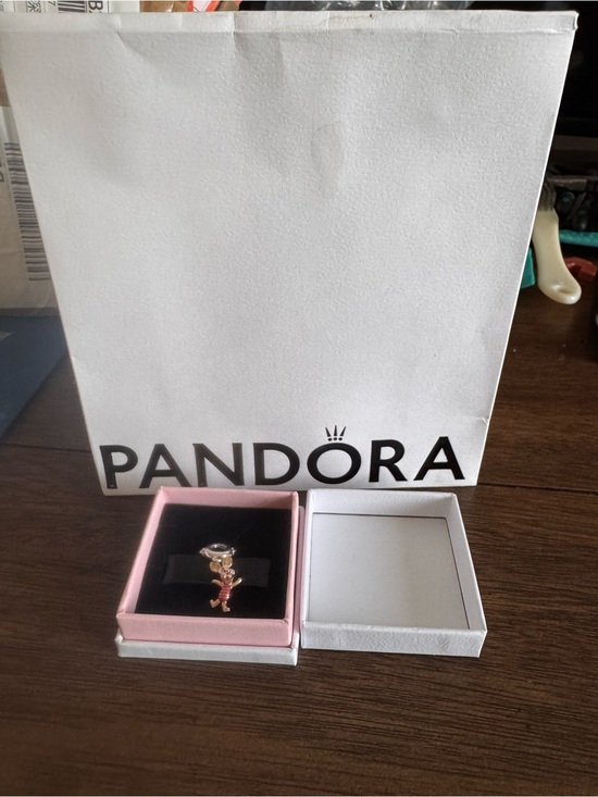 Pandora Jewelry - NWT- Pandora Piglet Charm - Full Inclusions